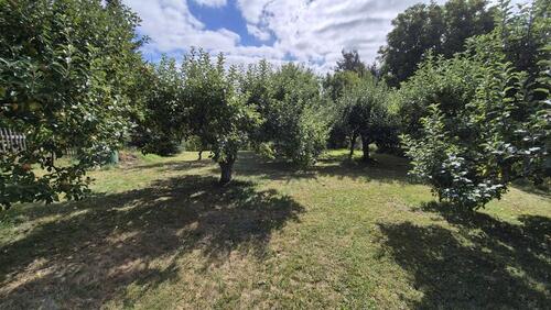 Foto - Grundst&uuml;ck in Gera zur Miete