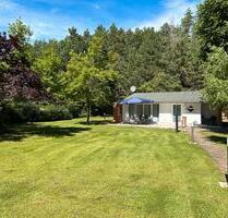 FERIENHAUS Bungalow in Ferch Schwielowsee Potsdam am Waldrand
