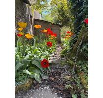 Macher-Paradies nähe Cochem - mit XL Scheune und Baugrundstück - Büchel