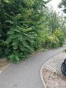 Foto - Grundstück in Halle (Saale)