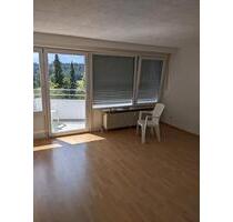 Charmante 1-Zimmerwohnung zu vermieten - Altensteig