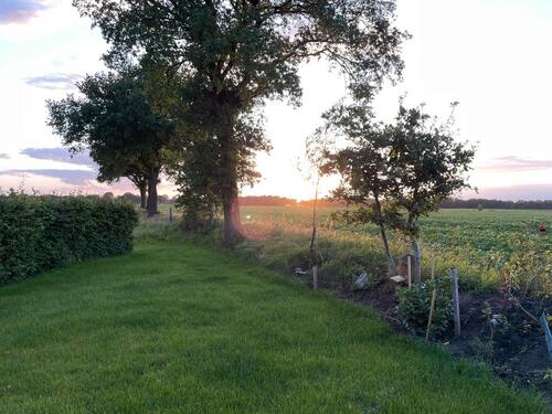 Foto - andere in Wiefelstede