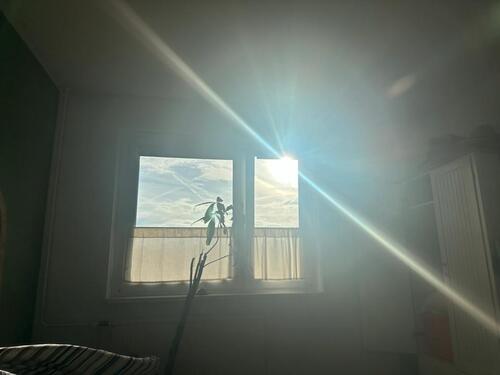 Foto - Etagenwohnung in Sömmerda zur Miete