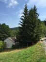 Foto - Einfamilienhaus in Walldürn zum Kaufen