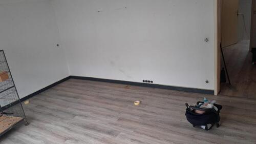 Foto - Etagenwohnung in Bonn