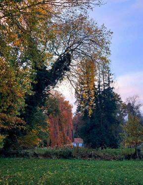 Foto - Einfamilienhaus in Beverstedt zur Miete