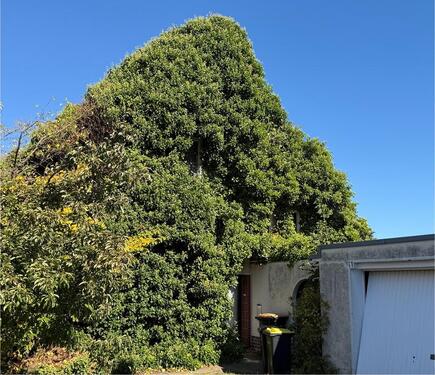 Foto - Einfamilienhaus zum Kaufen in Seelze
