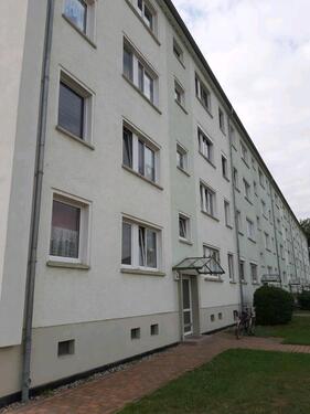 Foto - 4 Zimmer Erdgeschoßwohnung zur Miete in Burg