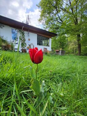 Foto - ZwischenmieteRückzugsort - 800,00&nbsp;EUR Kaltmiete, ca.&nbsp; 40,00&nbsp;m&sup2;