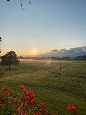 Foto - Ferienwohnung - 70,00&nbsp;EUR Kaltmiete,