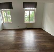 1 Zimmer Apartment Hockenheim zentral