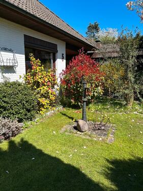 Foto - Hausverkauf von privat in Albersdorf Nähe Heide