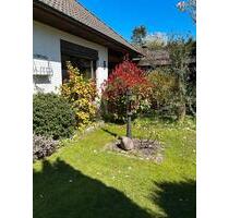 Hausverkauf von privat in Albersdorf Nähe Heide