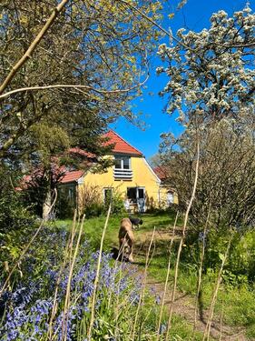 Foto - Einfamilienhaus zum Kaufen in Harrislee