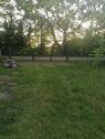 Foto - andere in Burg (Spreewald)