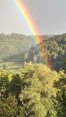 Foto - Einfamilienhaus zum Kaufen in Sulz am Neckar