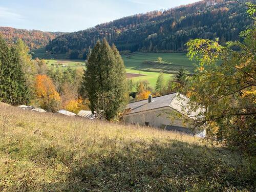 Foto - Einfamilienhaus in Sulz am Neckar