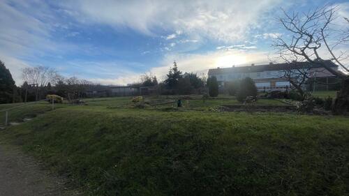 Foto - 3 Zimmer Etagenwohnung zur Miete in Sangerhausen