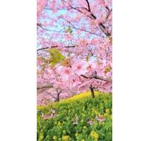 *** Der Frühling kommt, greifen Sie zu!**** - Potsdam Krampnitz