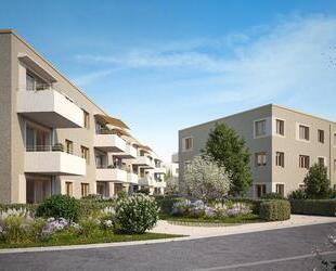 1 Zimmer in Elsdorf-Heppendorf (1B.01)