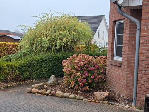 Foto - Reihenendhaus in Feld-, Ortsrandlage (EKK C, fast B)