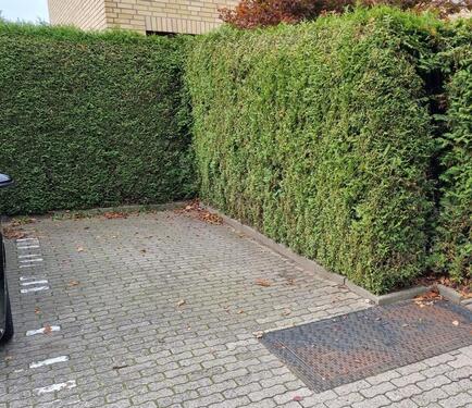Foto - andere zur Miete in Quickborn