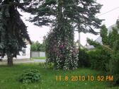 Foto - Einfamilienhaus in Neukirch/Lausitz