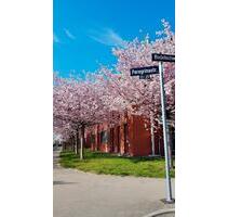 Tolle 3 Zimmer Wohnung im EG mit Garten in Stuttgart-Sonnenberg