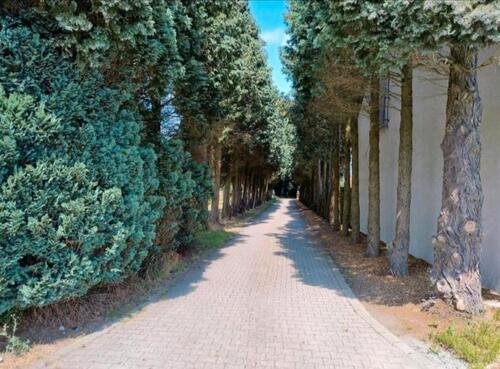 Foto - Etagenwohnung in Bottrop zur Miete