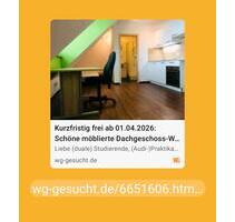 Wohnung in Ingolstadt zu vermieten 550€ warm 21 qm, voll möbliert