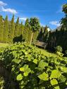Foto - Doppelhaus in Hoberge - 650.000,00&nbsp;EUR Kaufpreis, ca.&nbsp; 165,00&nbsp;m&sup2;
