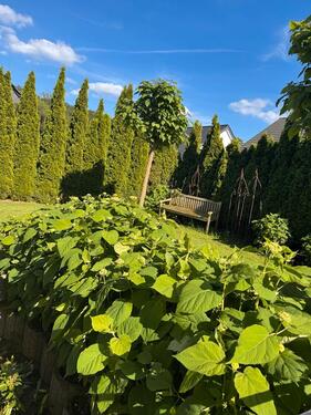 Foto - Doppelhaus in Hoberge - 650.000,00&nbsp;EUR Kaufpreis, ca.&nbsp; 165,00&nbsp;m&sup2;
