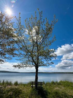 Foto - andere in Friedland