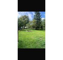 Erholungsgrundstück zur Pacht in Oderberg - Chorin