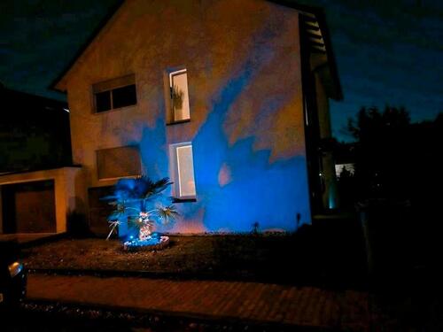 Foto - 2 Zimmer Terrassenwohnung zur Miete in Bruchsal