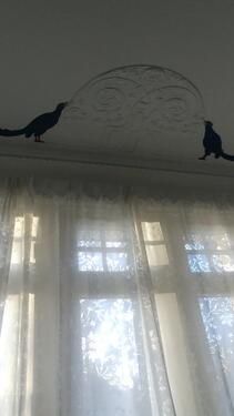 Foto - 