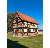 Schöne 1,5-Zimmer-Wohnung auf idyllischem Pferdehof zu vermieten - Borstel
