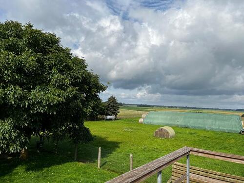 Foto - 3 Zimmer Etagenwohnung in Usedom