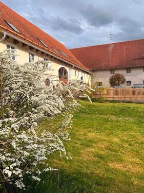 Foto - 6 Zimmer Etagenwohnung zur Miete in Pleß