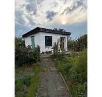 Kleingarten im KGV Lünischhöhe - 290,00&nbsp;EUR Kaltmiete, ca.&nbsp; 0,00&nbsp;m&sup2; in Braunschweig (PLZ: 38106) Nordstadt