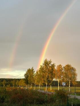 Foto - 