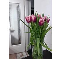 1-Zimmer Wohnung Kurzzeitmiete 01.02-28.02 im OEZ - München Feldmoching-Hasenbergl