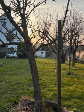 Foto - 8.5 Zimmer Einfamilienhaus in Königslutter am Elm