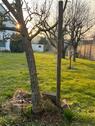 Foto - Einfamilienhaus in Königslutter am Elm zum Kaufen