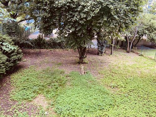 Foto - 4-4,5 Zimmer Maisonettewohnung mit Garten-mitnutzung Stellplatz
