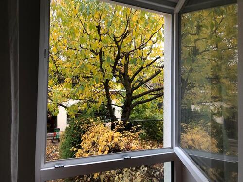 Foto - Haus mit Garten zur Zwischenmiete - familienfreundlich!