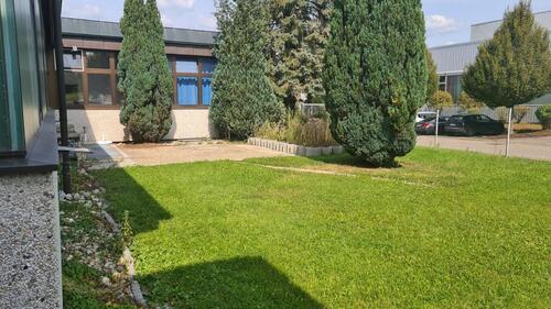 Foto - andere in Hochdorf