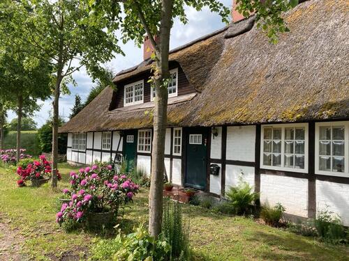 Foto - Einfamilienhaus in Neustadt in Holstein