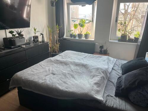 Foto - 2 Raum Wohnung mit Balkon Magdeburg Sudenburg ab 01.05.