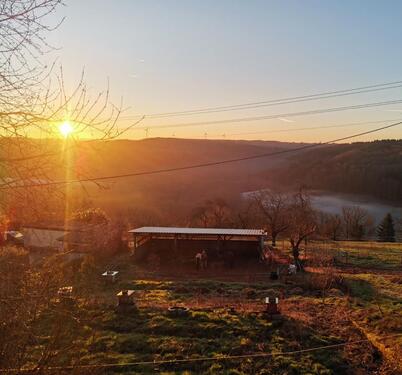 Foto - 5 Zimmer Bauernhaus, Landhaus in Hermersberg